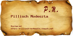 Pillisch Modeszta névjegykártya